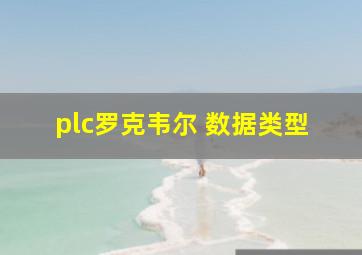 plc罗克韦尔 数据类型